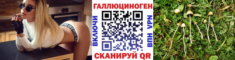 Псилоцибиновые грибы прущие грибы  где купить   Нижняя Тура 